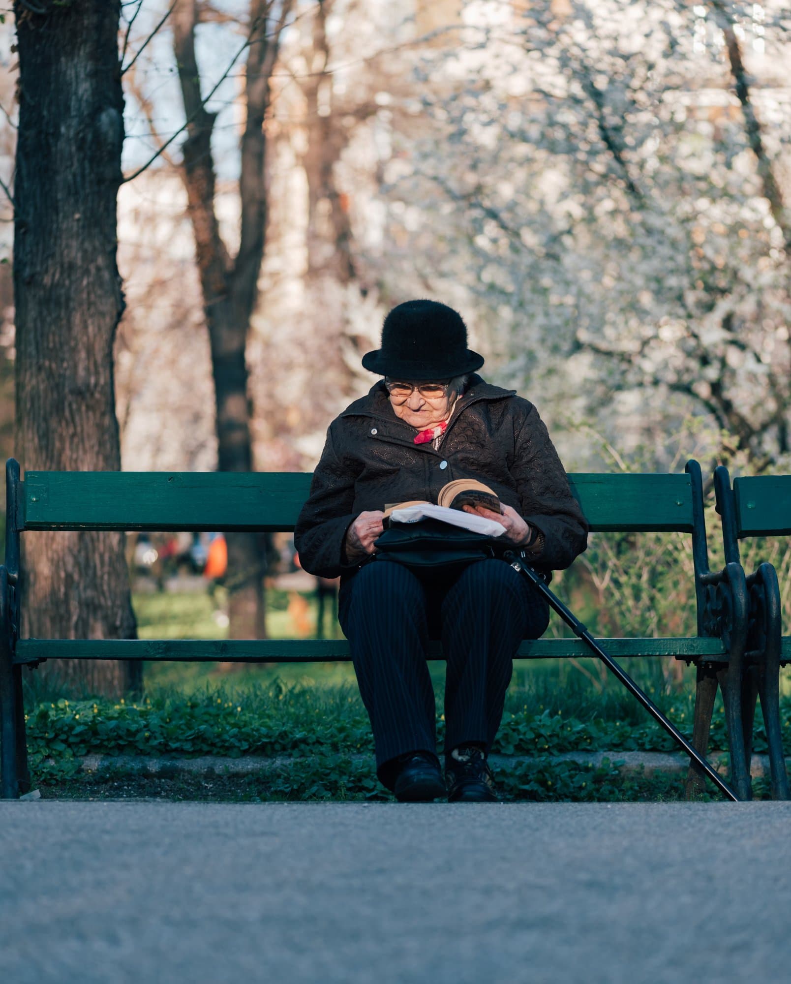Older person reading on a bench under blossoming trees